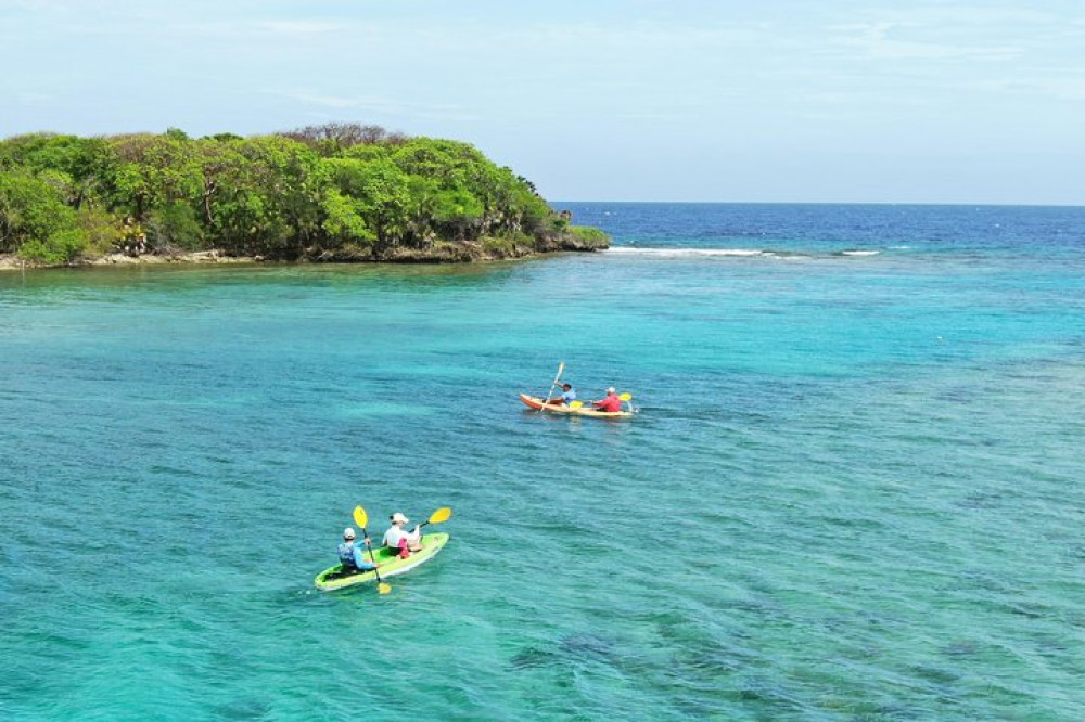 Roatan Shore Excursion: Kayak Harbor Adventure and Reef Snorkel