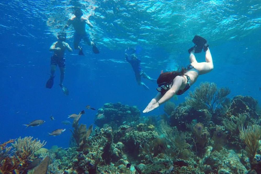 Kayaking Roatan Roatan: Kayak Harbor Adventure and Reef Snorkel - French Cay (French ...