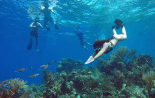 Roatan Getaway Tours7