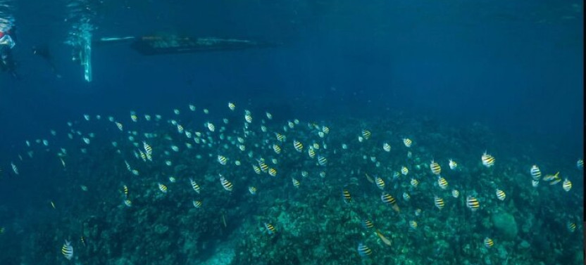 West Bay Beach Eco-Park and Snorkel Adventure