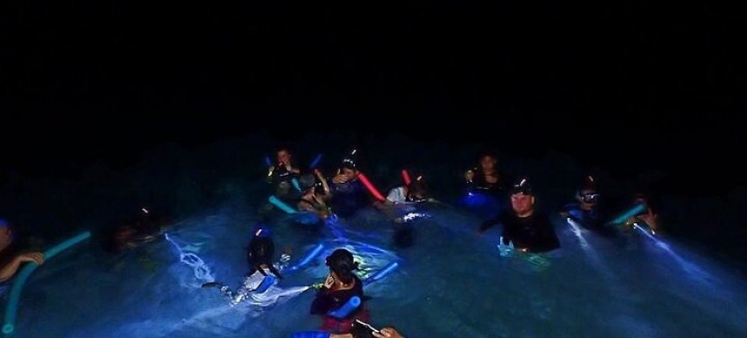 Roatan Night Snorkel Adventure