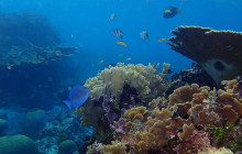 Roatan Getaway Tours2