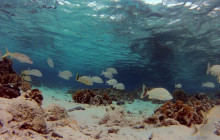Roatan Getaway Tours4