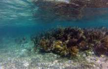 Roatan Getaway Tours6