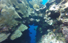 Roatan Getaway Tours11