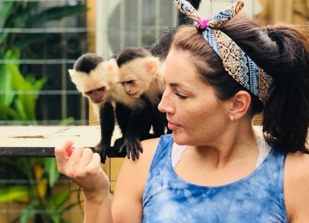 Monkey's & Sloth Park (Only)