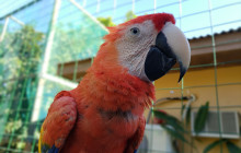 Roatan Getaway Tours4