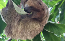 Roatan Getaway Tours6