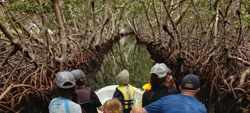 Roatan East Side Mangrove Tunnels and Snorkel Adventure