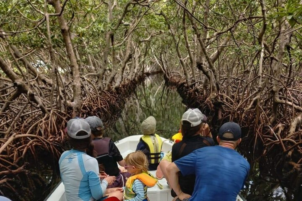 Roatan East Side Mangrove Tunnels and Snorkel Adventure