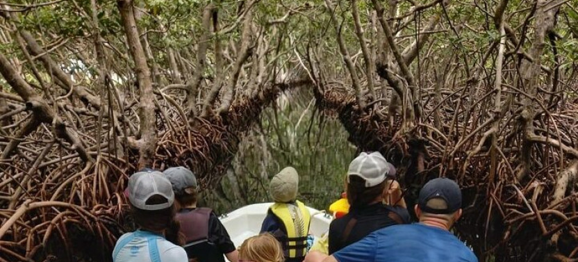 Roatan East Side Mangrove Tunnels and Snorkel Adventure