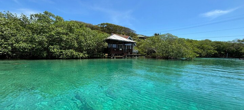 Roatan East Side Mangrove Tunnels and Snorkel Adventure