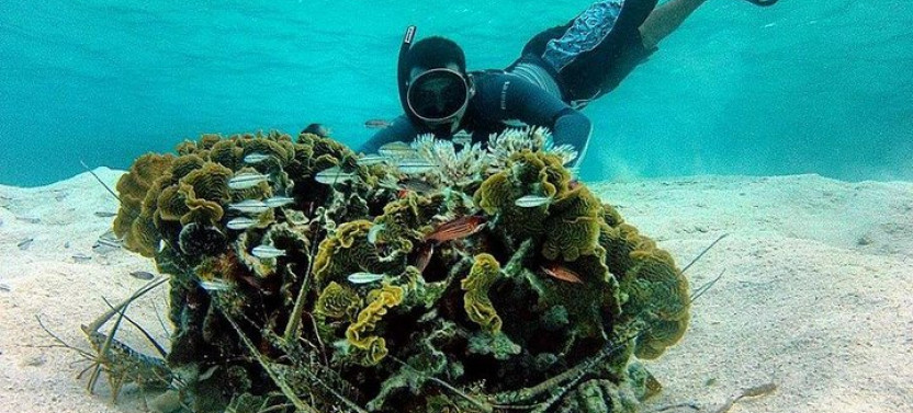 Roatan - The All in one Roatan Adventure