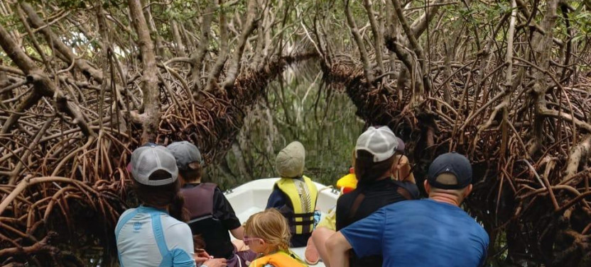 East Side Mangrove Tunnels & Snorkel Adventure