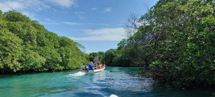 East Side Mangrove Tunnels & Snorkel Adventure