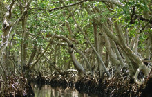 Roatan Getaway Tours4