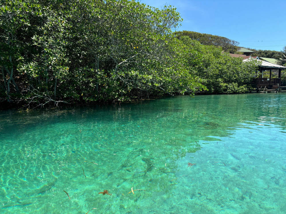 Roatan Getaway Tours