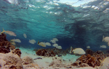 Roatan Getaway Tours9
