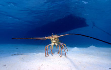 Roatan Getaway Tours10
