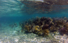 Roatan Getaway Tours11