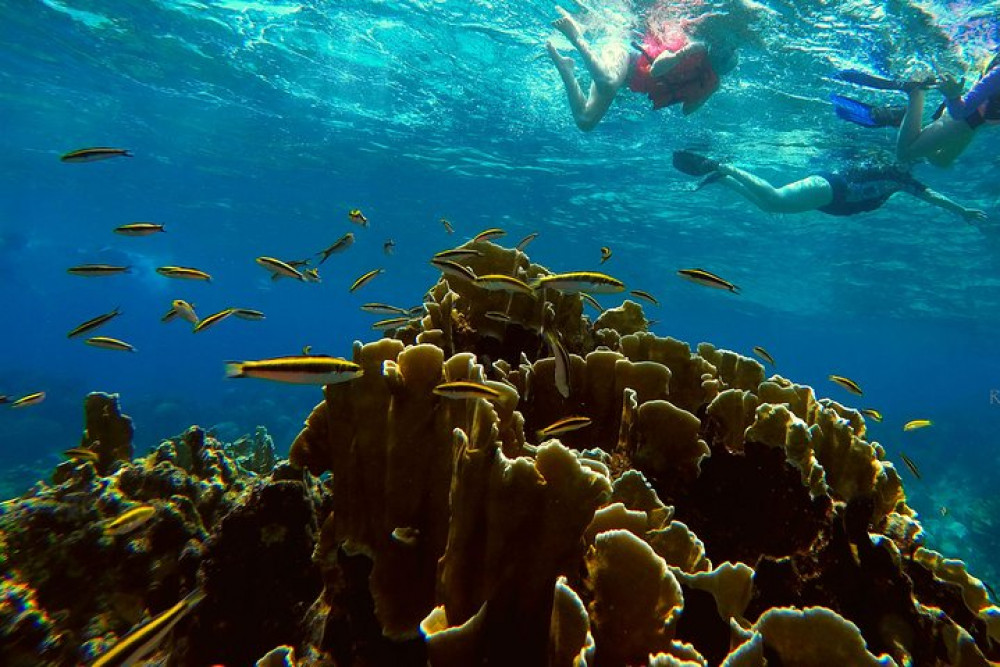 Roatan Getaway Tours
