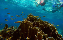 Roatan Getaway Tours12