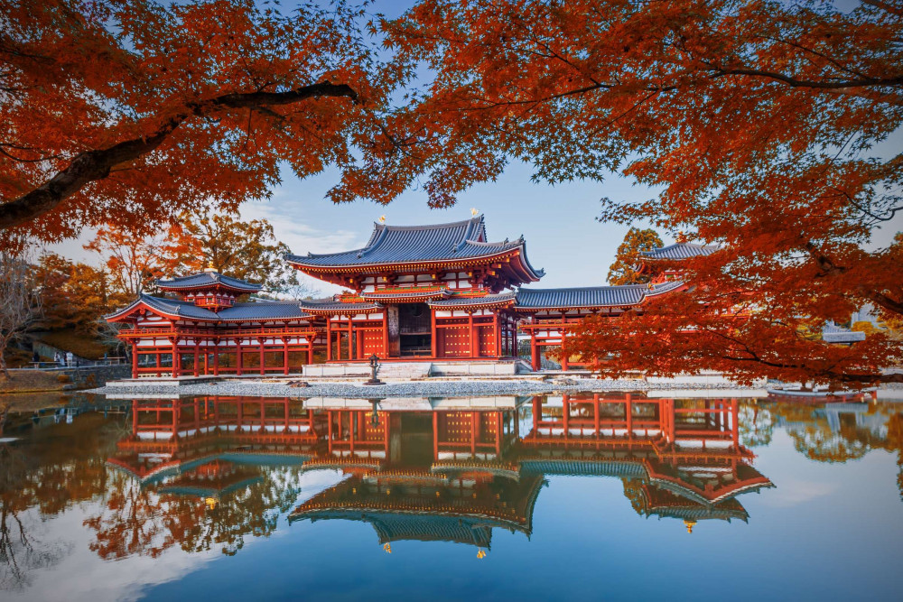 Expert-Led Uji Half Day Tour From Kyoto