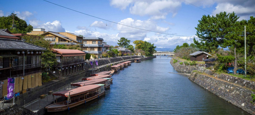 Expert-Led Uji Half Day Tour From Kyoto
