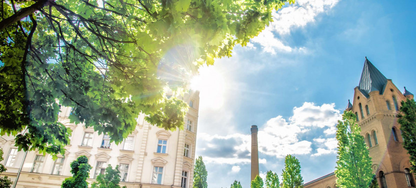 Private Expert-Led Berlin Food Tour