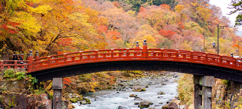 Expert-led Nikko Full-Day Excursion