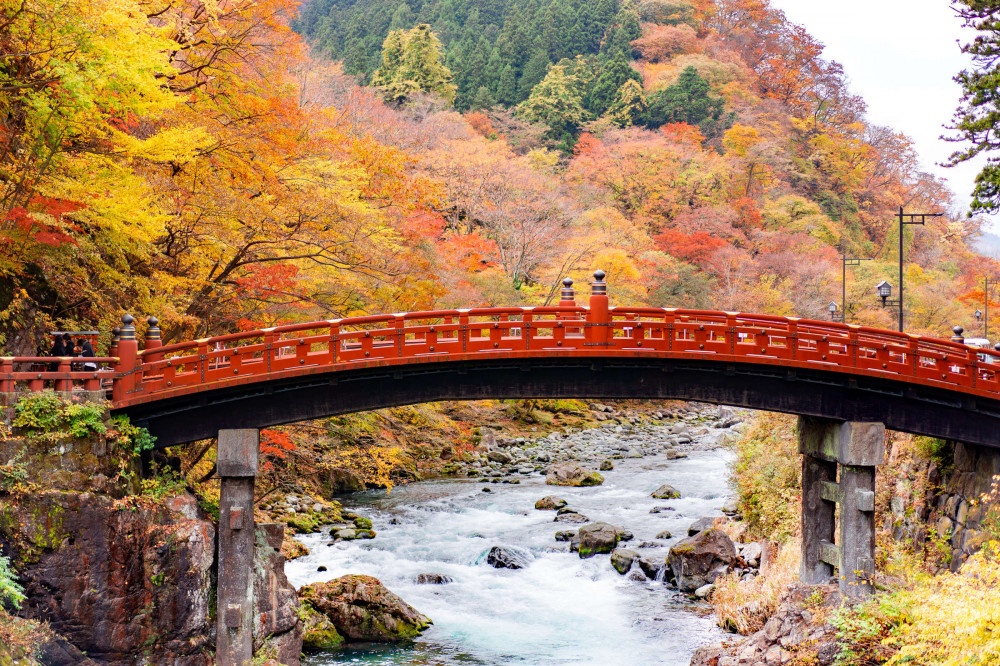 Expert-led Nikko Full-Day Excursion