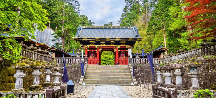 Expert-led Nikko Full-Day Excursion