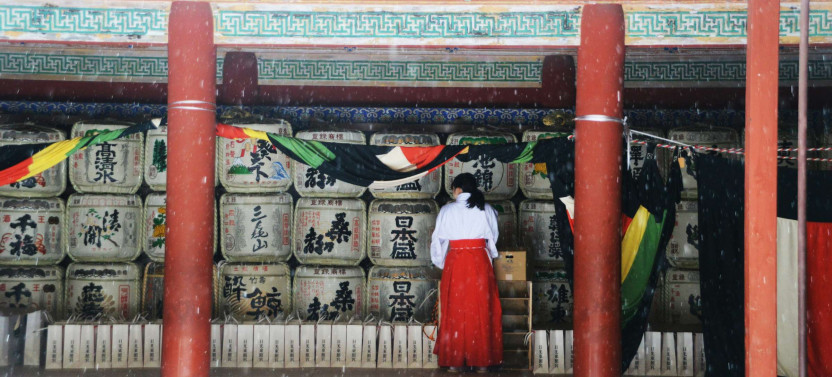 Expert-led Nikko Full-Day Excursion