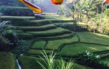 Your Bali Trekking Tour7