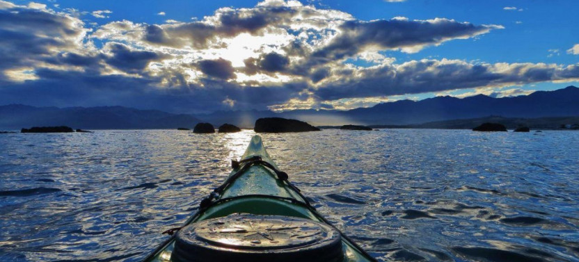 Kaikoura Day Tour With Kayak Experience & Lunch (Small Group)