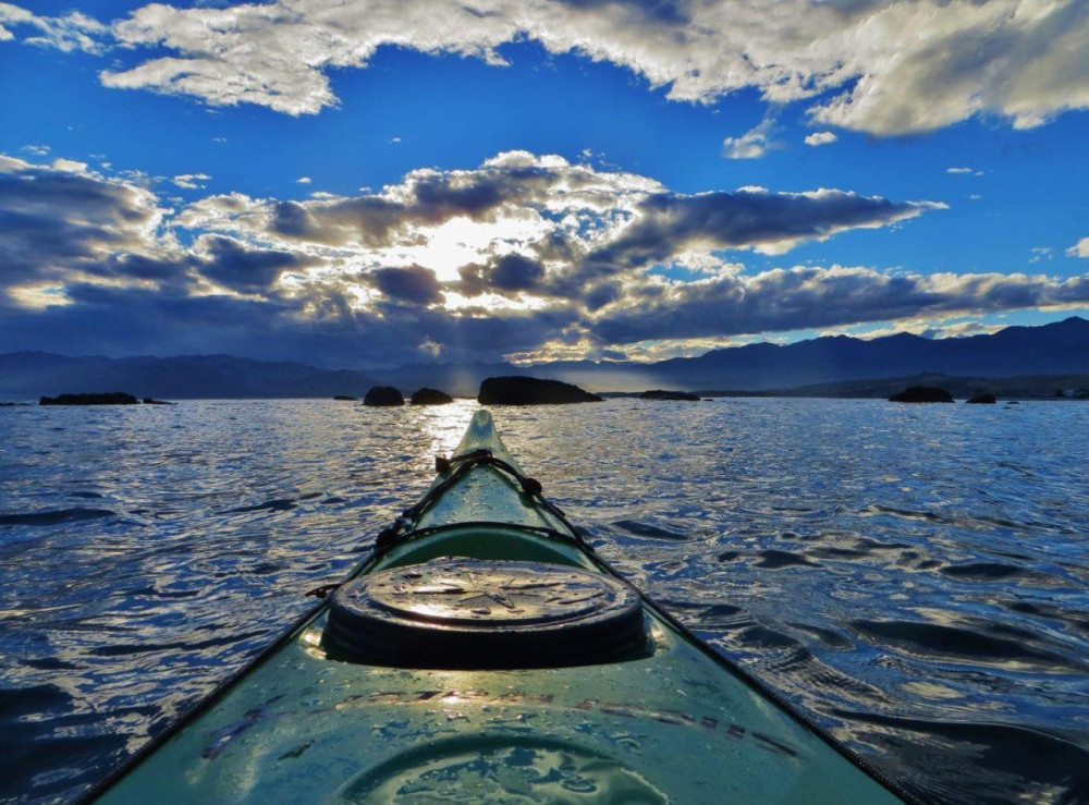 Kaikoura Day Tour With Kayak Experience & Lunch (Small Group)