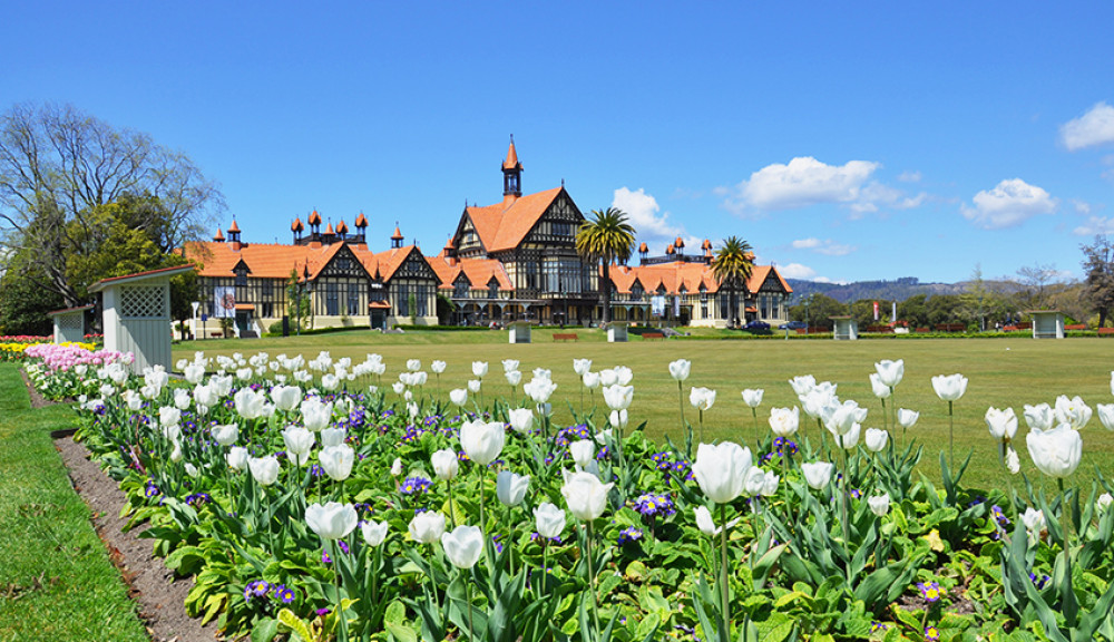 Auckland to Rotorua Via Hobbiton Small Group Tour (One Way)