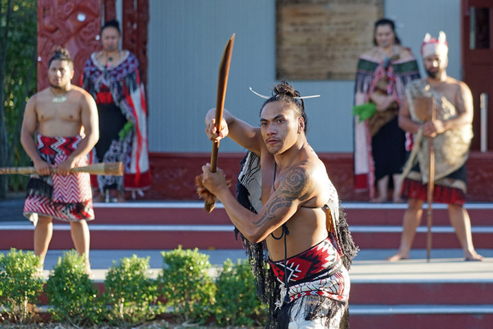 Rotorua Highlights Tour with Te Puia from Auckland (Small Group)
