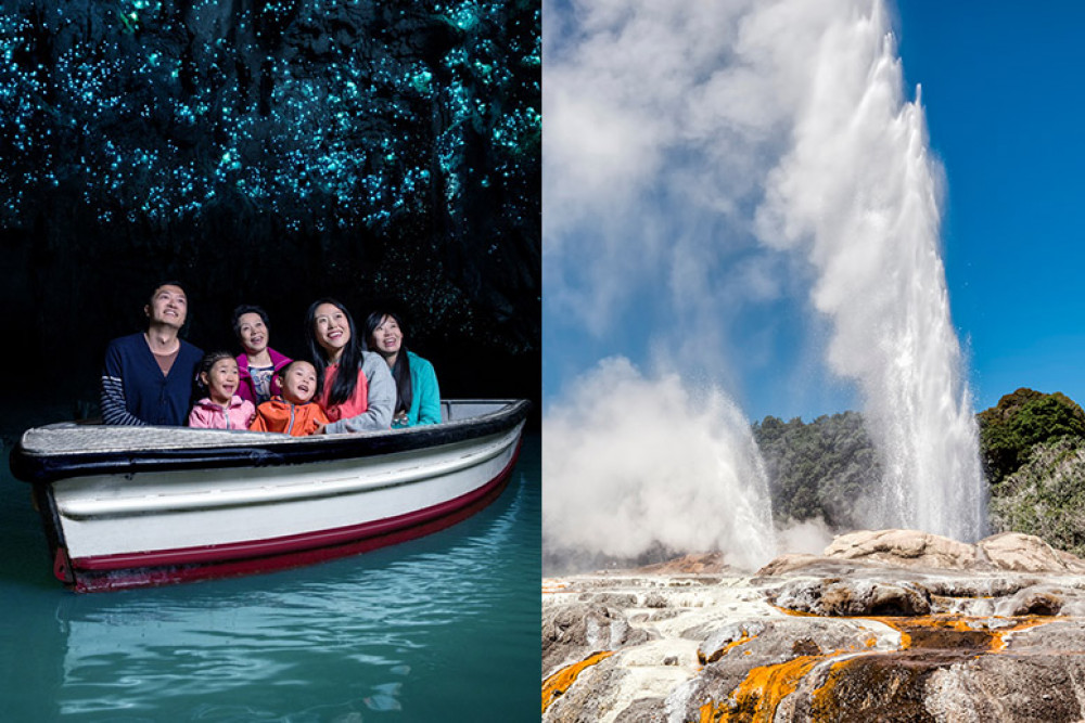 Waitomo Caves & Rotorua Tour with Te Puia from Auckland (Small Group)