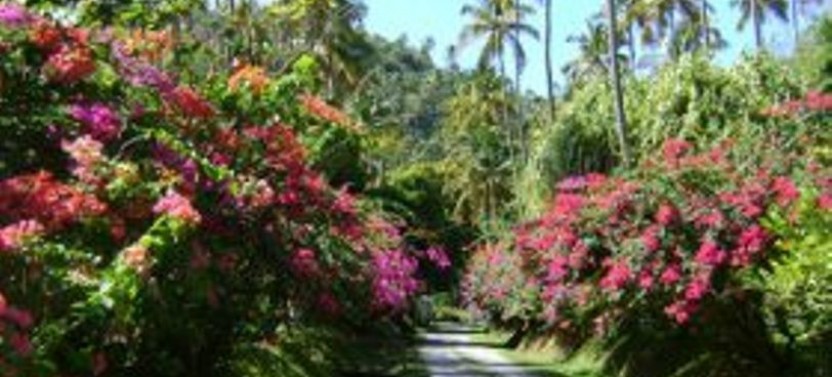 St Lucia Historical Estate Tour at Morne Coubaril Estate