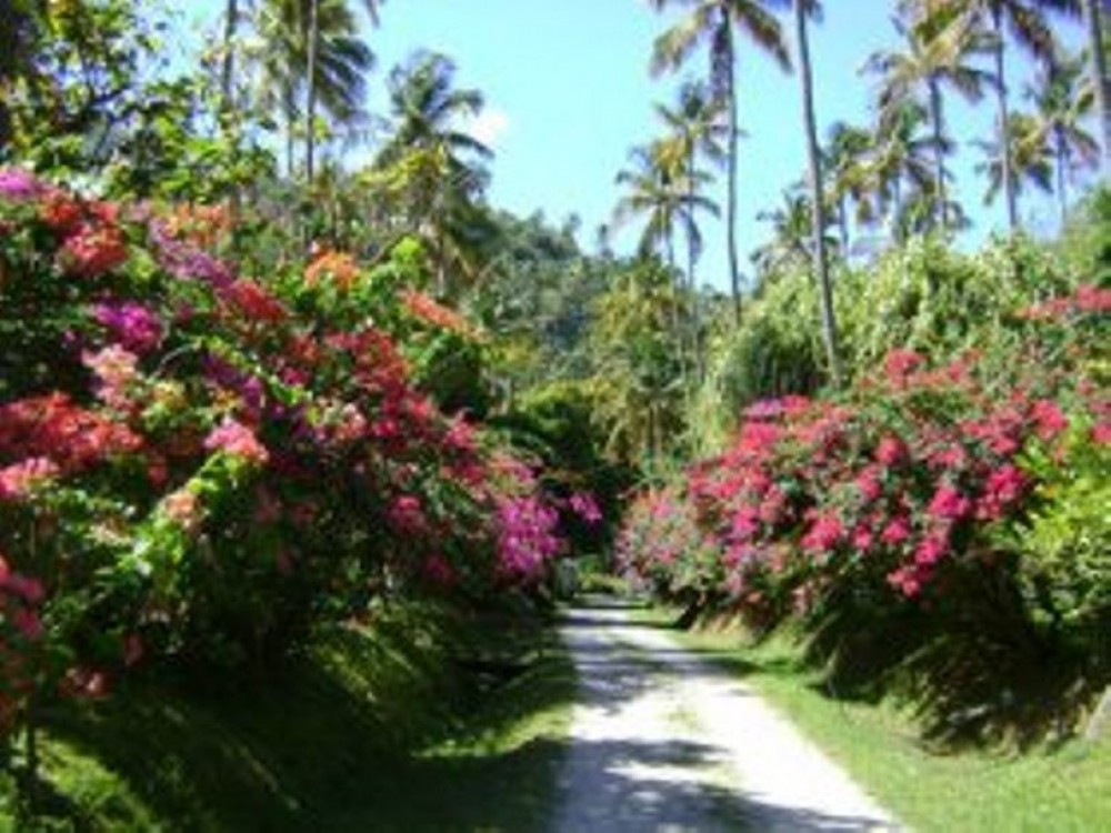 St Lucia Historical Estate Tour at Morne Coubaril Estate