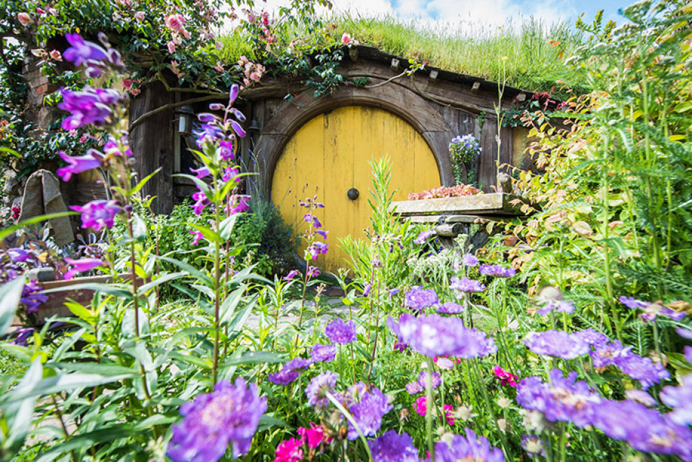 Hobbiton & Rotorua Small Group Tour Including Te Puia From Auckland