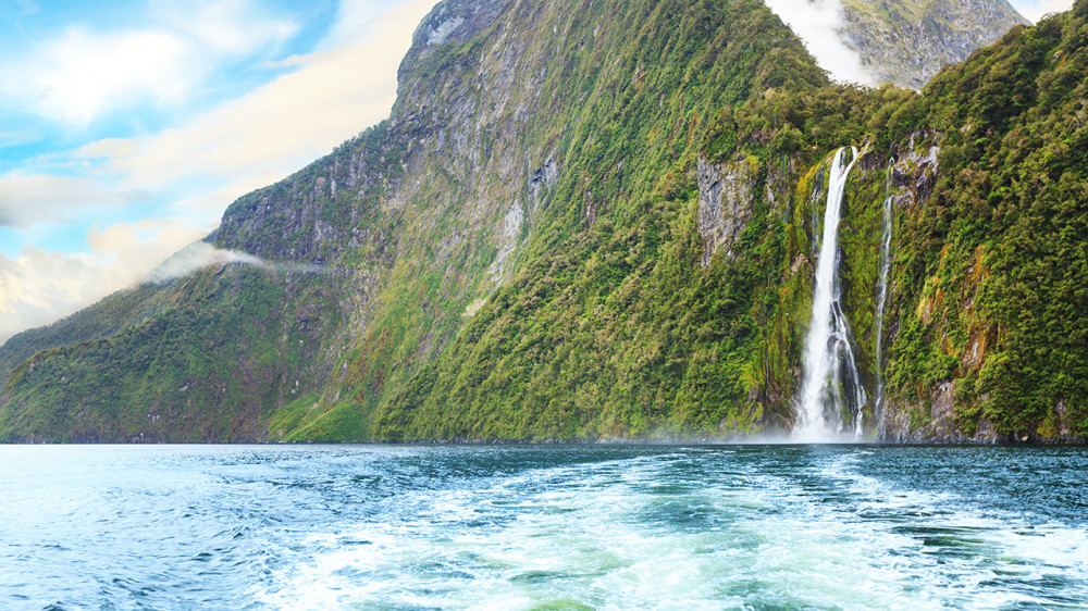 Premium Milford Sound Small Group Tour, Cruise & Picnic Lunch