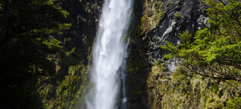 Arthur's Pass Day Tour with Tranzalpine Experience from Christchurch