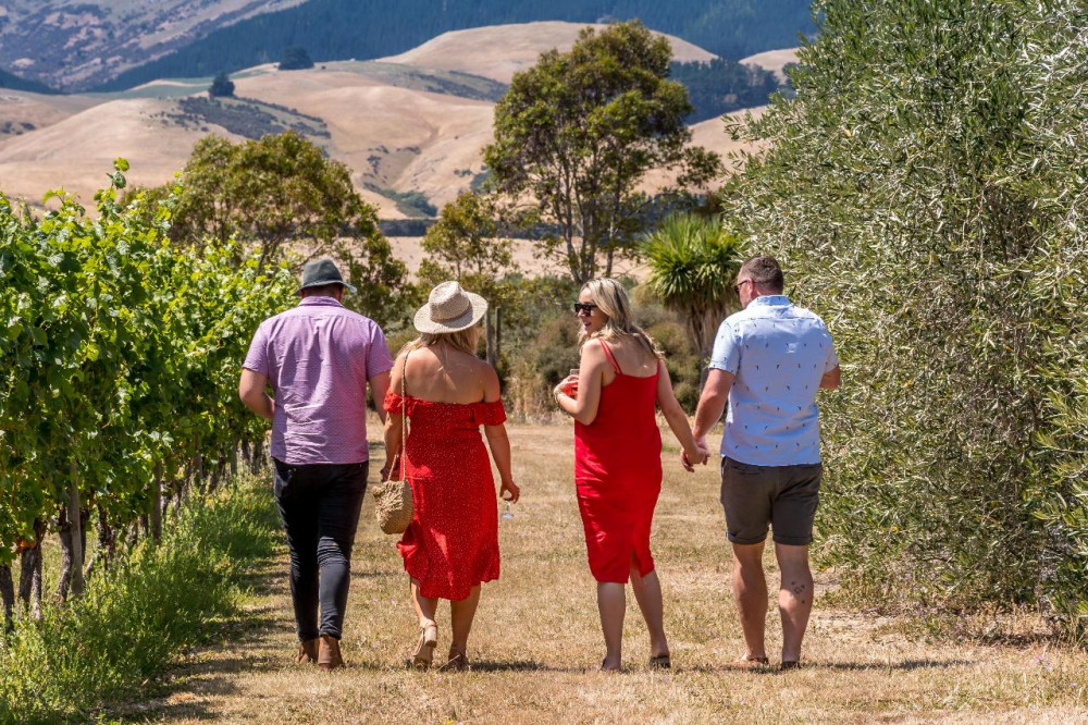 Waipara Small Group Wine Tasting Tour with Lunch