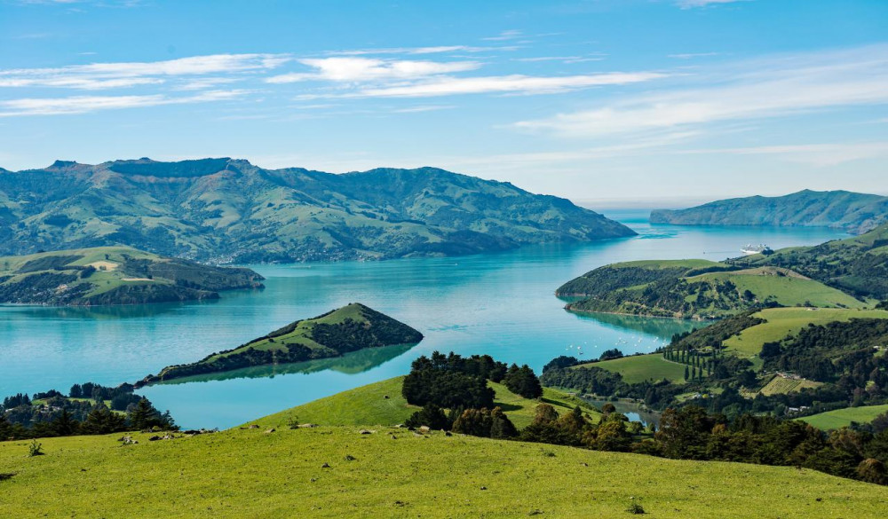 Akaroa Day Trip with Nature Cruise from Christchurch (Small Group)