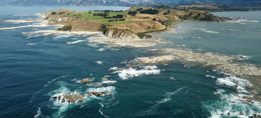 Kaikoura Day Trip from Christchurch with Dolphin Encounter (Small Group)