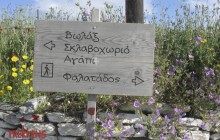 8 Day Authentic Islands Hiking (Andros, Tinos)