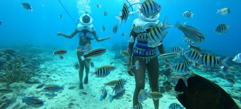 Underwater Walking Tour In Curacao