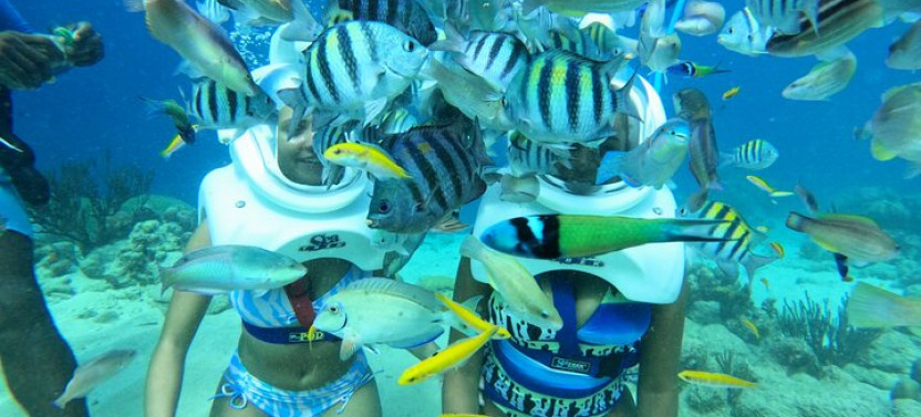 Underwater Walking Tour In Curacao